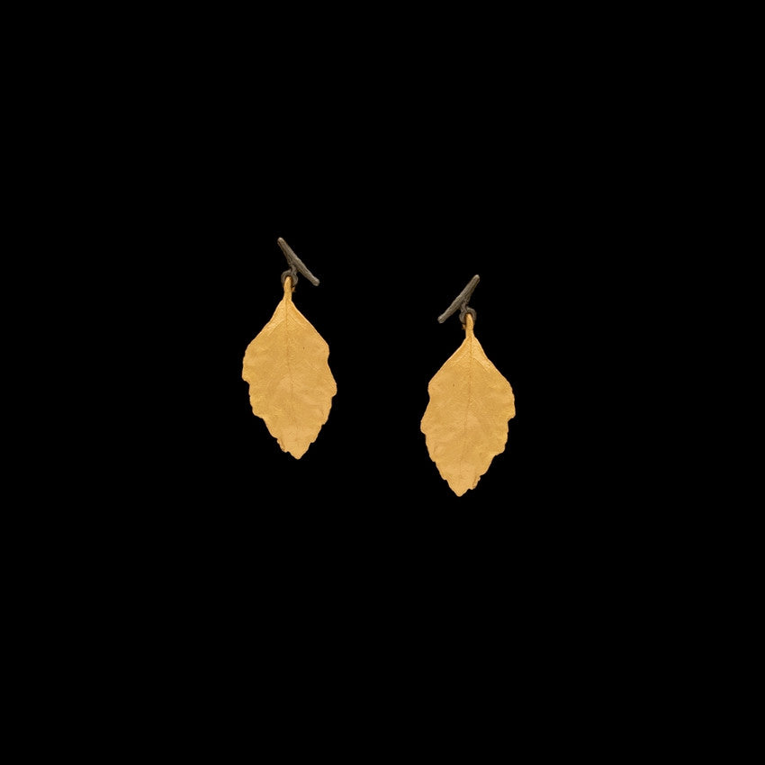 Birch_ear1__50961.1731528154.1280.1280