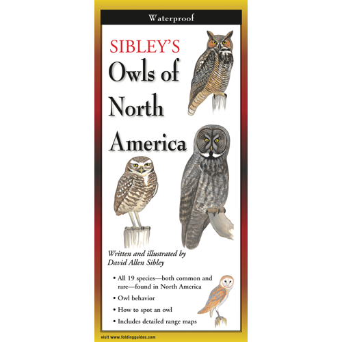 OwlsNA__21972.1726754578.1280.1280