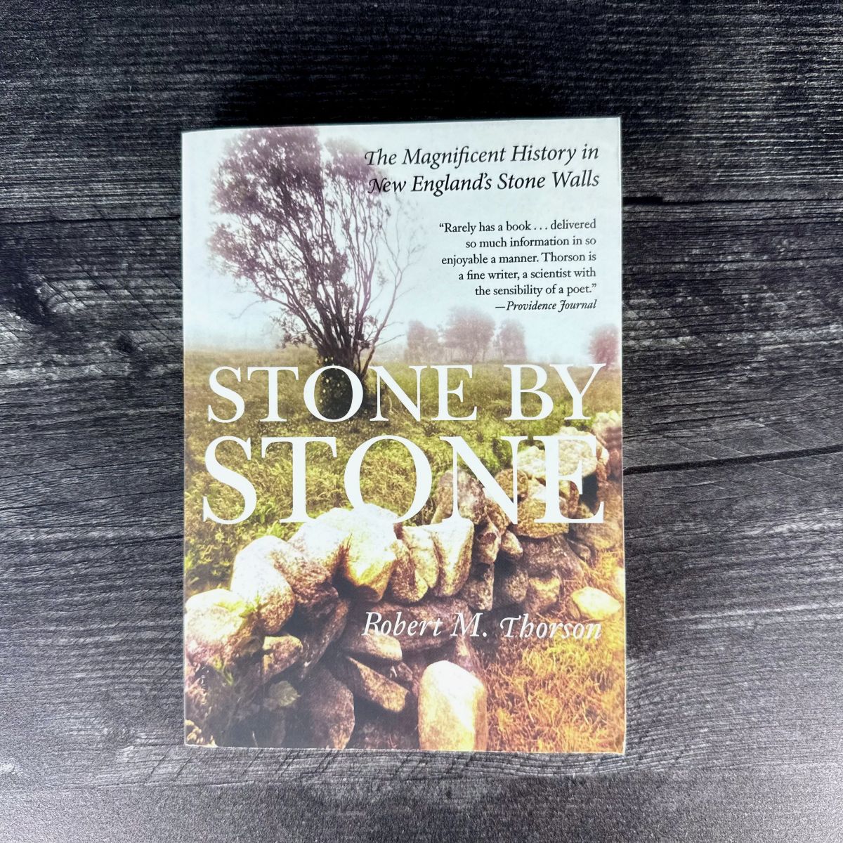 StonebyStone_book-dark-sq