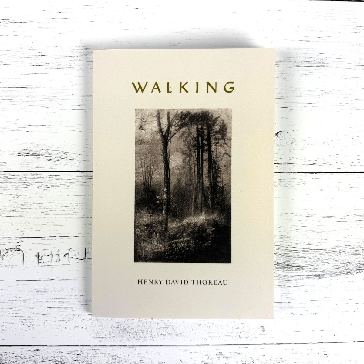 Walking_frontcover1200x