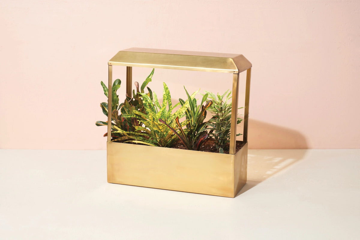 growhouse2__72390.1729532633.1280.1280