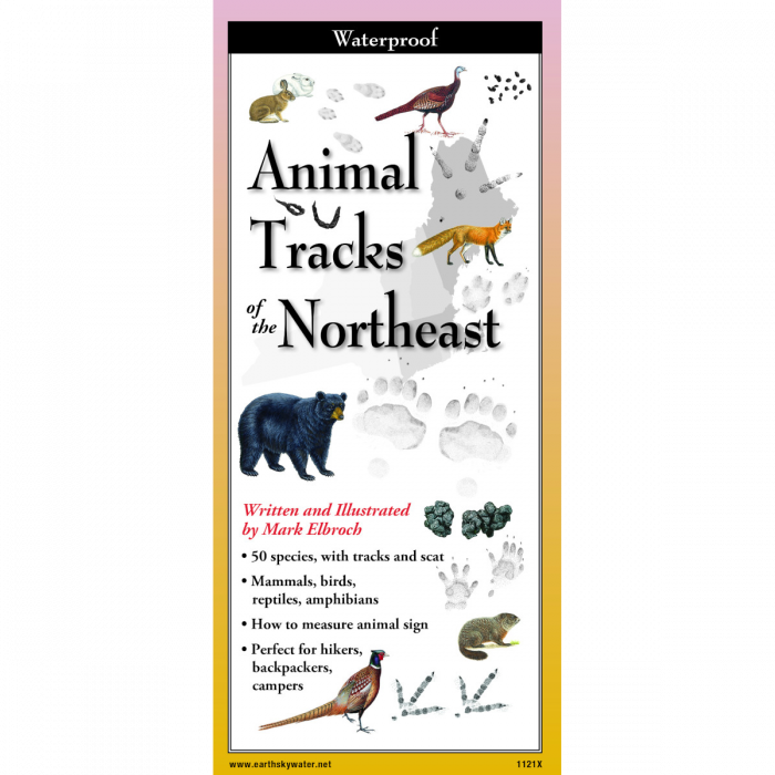 tracksNE__79964.1726690480.1280.1280